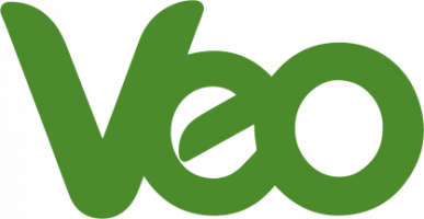 Лого на VEO Worldwide Services